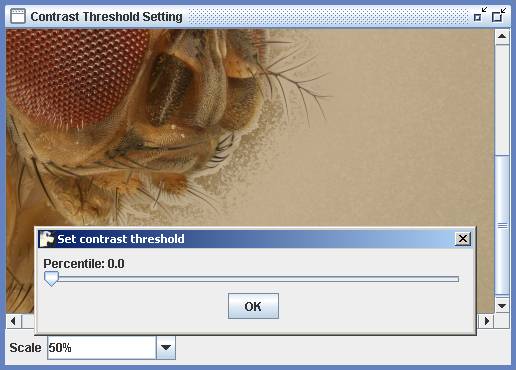 image002.jpg image002.jpg