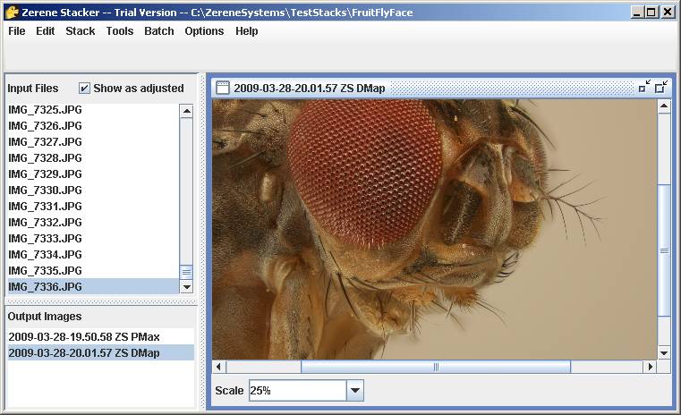 image005.jpg image005.jpg