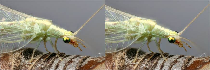 image001.jpg image001.jpg