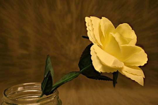 image003.jpg image003.jpg