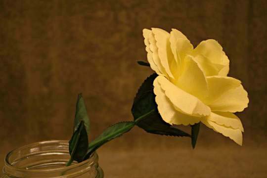 image004.jpg image004.jpg