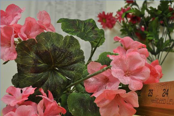 image001.jpg image001.jpg