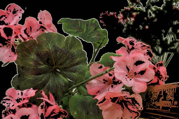 image004.jpg image004.jpg