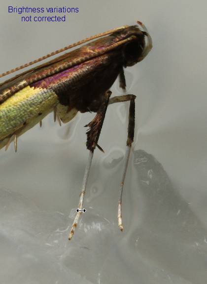 image007.jpg image007.jpg