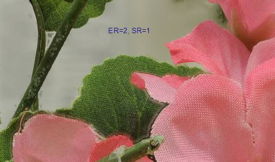 image009.jpg image009.jpg