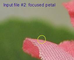 image014.jpg image014.jpg